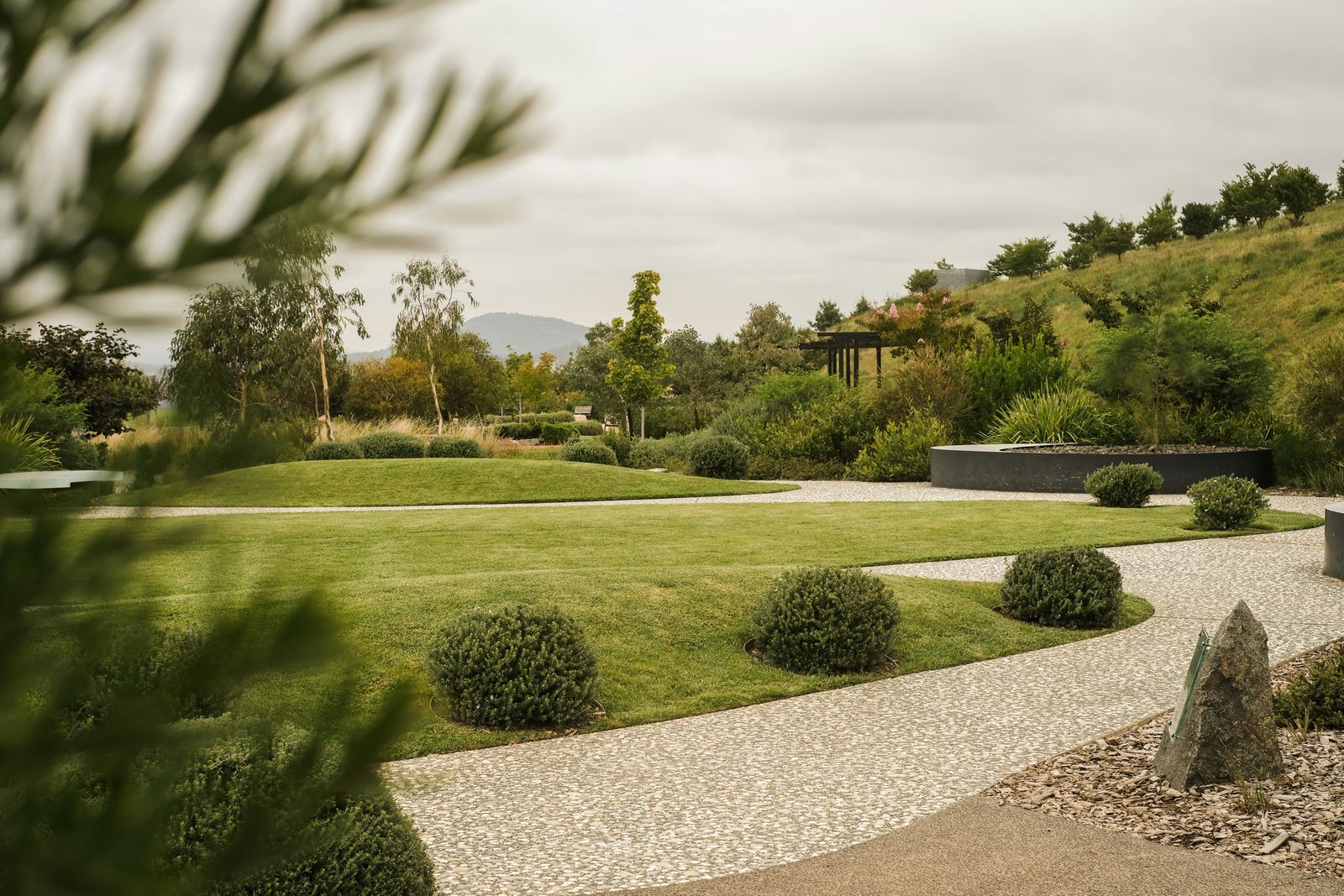 Blog jardín